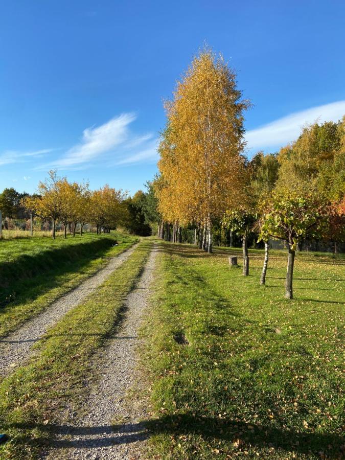 Szmaragdowy Domek Nowy Wisnicz Bagian luar foto